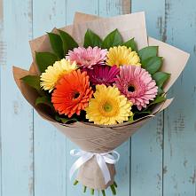 Букет цветов из:  Герберы в Ахтанизовскую