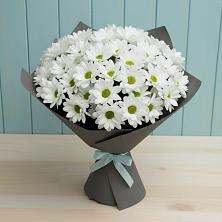 Букет цветов из:  Хризантемы в Ахтанизовскую