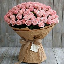 Букет 151 Роза Роуз #REPLACE_PRED# Ахтанизовскую
