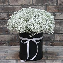 Цветочная композиция из Гипсофила в шляпной коробке в Ахтанизовскую